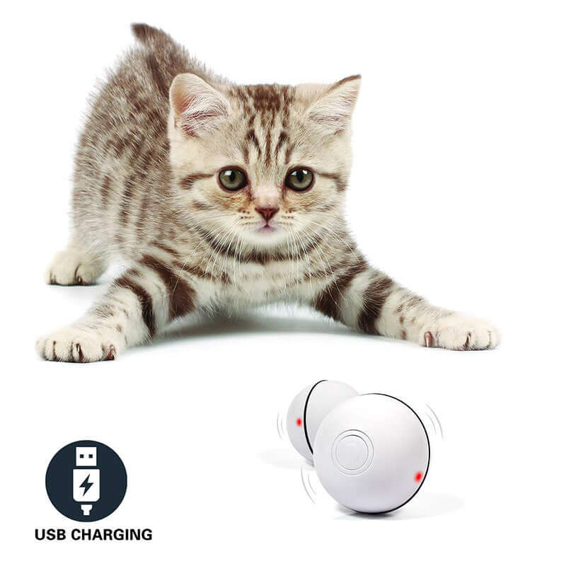 LED Laser Electronic Rolling Pet Funny Cat Toy Ball with kitten playing, featuring USB charging and interactive design.
